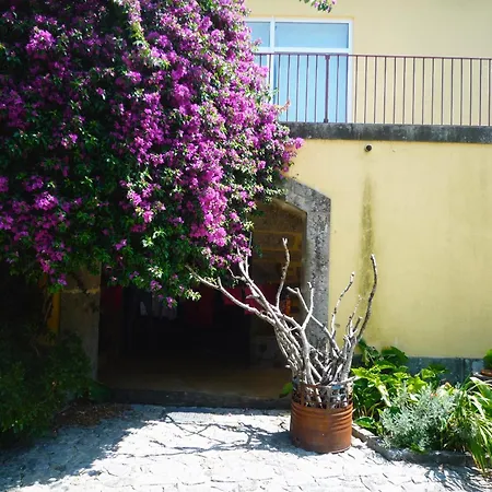 Casa Magnólia *