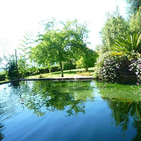 Casa Magnolia * Braga