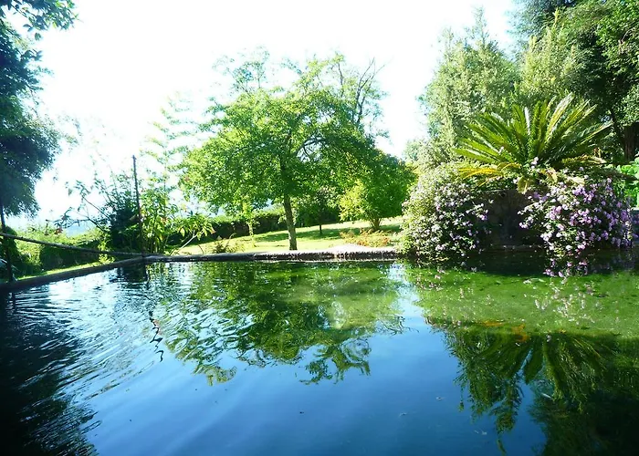 Casa Magnolia * Braga