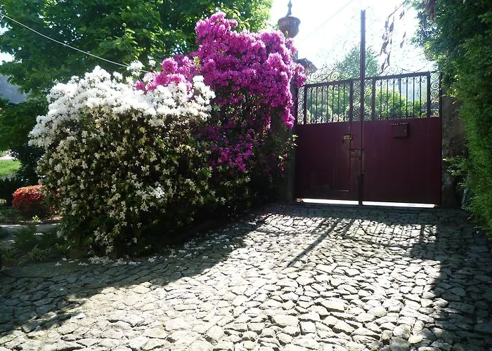 Casa Magnolia Holiday home Braga